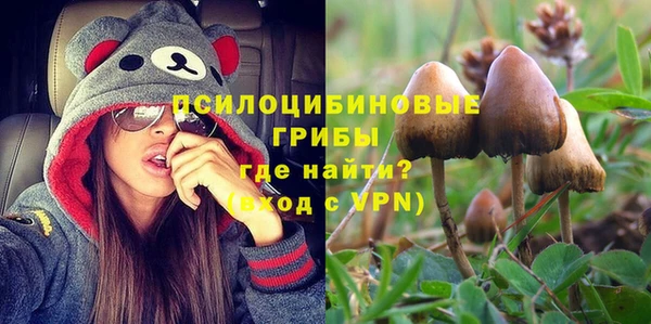 ALPHA-PVP Ельня