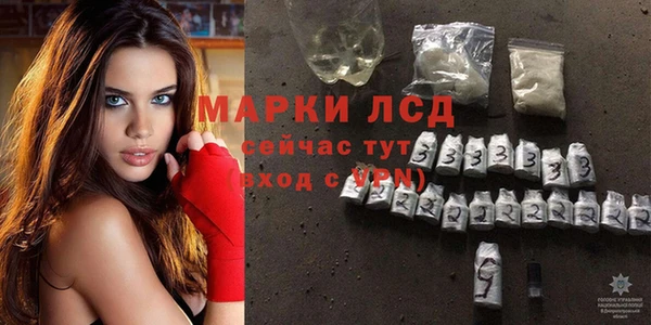 сатива Абаза