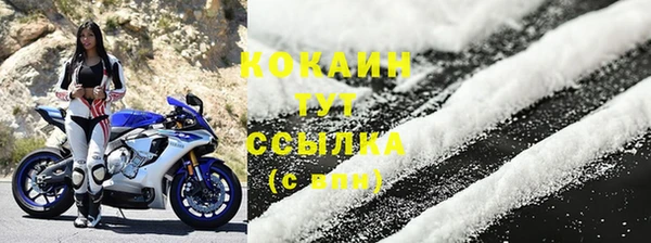 сатива Абаза