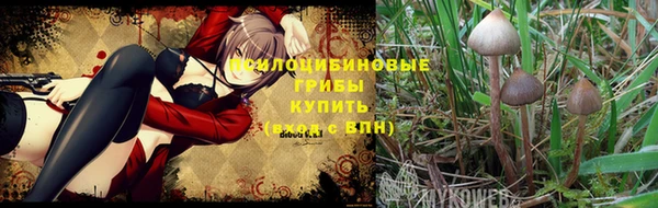 синтетический гашиш Абинск