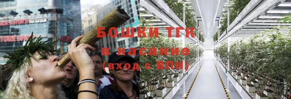сатива Абаза