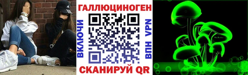 Галлюциногенные грибы MAGIC MUSHROOMS  закладки  Яхрома 